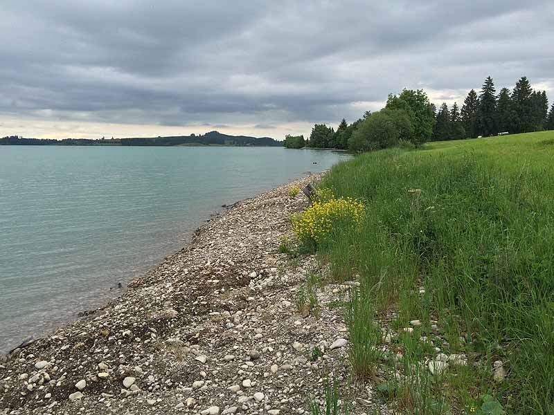 Fkk forggensee